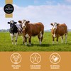 Aufschnitt Meats Beef Jerky Jar - Grass Fed Beef -