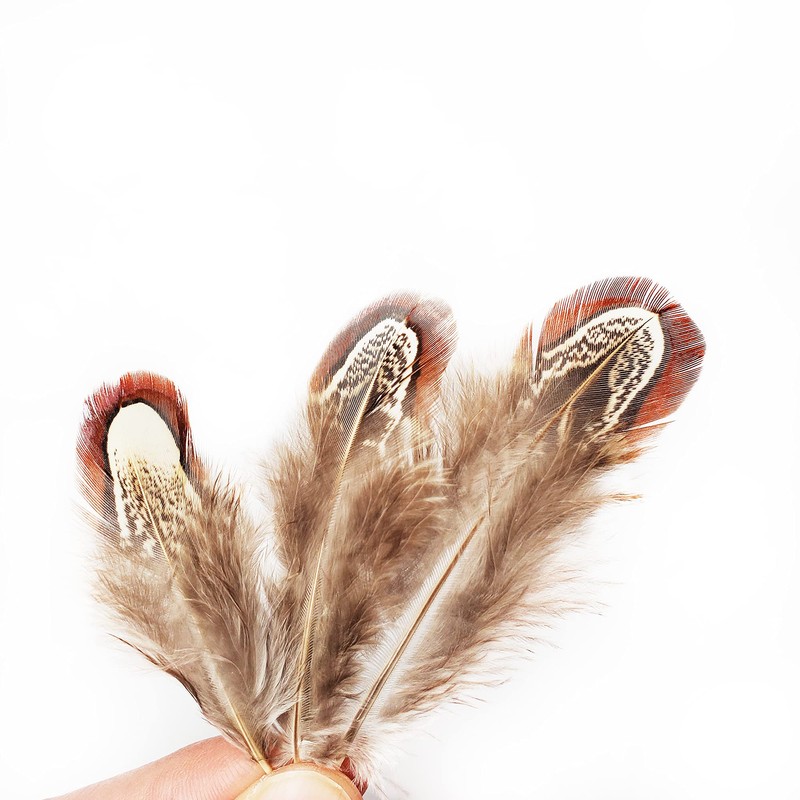 100 pcs Natural Pheasant Plumage Feathers 2-3 Inches Plumage Feathers