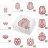 Timethink (Set of 10) 4'' 3D Brain Specimen Coasters, Funny