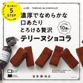 Melting Luxury Terrine Chocolat 1 Set, Tomizawa Shoten Cuoca Candy Making Set, Handmade Kit, Valentine's Day, White Day