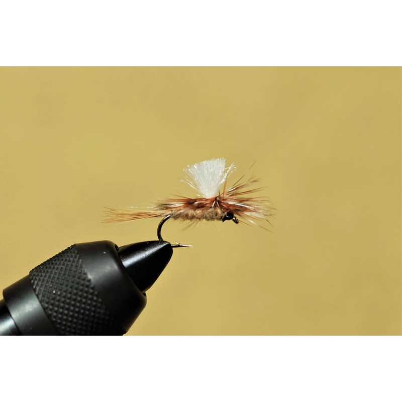 Fly Shop Complete Fly Set SD Selection Dry Fly Iwana