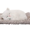 Bamboo Charcoal Deodorizer, Plush Cat Air Purifier Bag, Non-Toxic, Unscented,