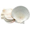 Fox Run Natural Baking Shells