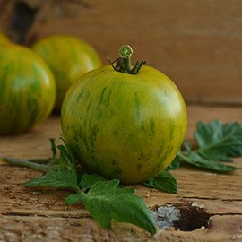 Green Zebra Tomato - 50 Seeds - Heirloom & Open-Pollinated Variety, USA-Grown, Non-GMO Vegetable Seeds for Planting Outdoors in The Home Garden, Thresh Seed Company