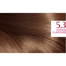 L'Oréal Paris Excellence Haarfarbe Kastanienbraun Dreifachpflege