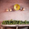 WINSOME Invisible Plate Hangers for Wall | Decorative Dish Display