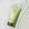 Coreana-Winage [Coreana] Mung Bean Foam Cleansing 150ml / [코리아나]녹두 폼클렌징