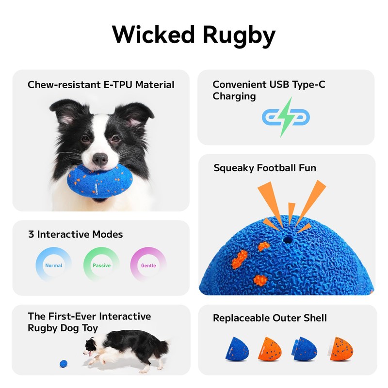 Cheerble Wicked Rugby (Blue Shell)