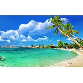 Quiet Time Boutique 1 oz Candle Soap Home Fragrance Oil-Palm Beach