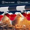 12 Pack Chicken Waterer PVC Tee Fittings - Fully Automatic