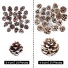 KY-Tech Christmas Pine Cones, 25pcs Natural Pine Cones 3-4CM Rustic