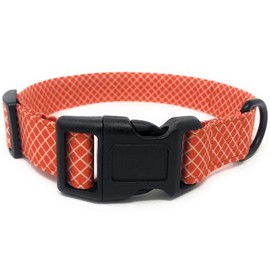 Regal Dog Products Cool Designer Collar | Adjustable Dog Collar with Custom fit for XS, Small, Medium, Large Dog, Cat, & Puppy | Fun Dog Gift Idea | Multiple Colors | Large (18 inches to 24 inches)