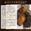 渡邊薬品 チャーガパワー 120粒 1本