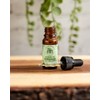 ORE Aceite de Orégano Orgánico, 80% Carvacrol, 100% Natural, Gotas,