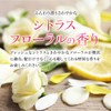 Emerire Hair Oil, Hyaluronic Acid, Moisturizing, Non-Rinse Emerire Treatment, Elcaractone