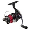 Daiwa Spinning Reel 24 Gekijin X LT2000S-P