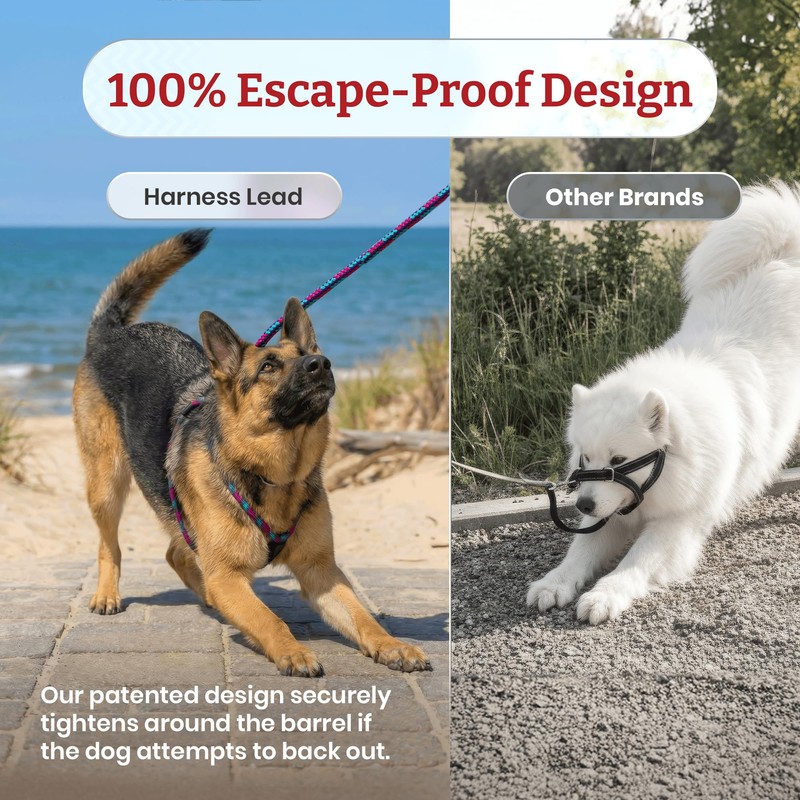 Harness Lead No Pull Dog Harness and Leash Set, Anti