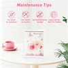 6.5”x8.5” Preserved Flowers Pink Rose Hydrangea Flower Frame with Butterfly