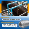 Boltigen 2 inch Spring Check Valve, 304 Stainless Steel CF8
