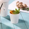 BIOZOYG Paper Cups 50 ml / 2 oz, Diameter 50