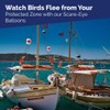Bird-X Scare-Eye Balloons, Predator 3D Eye Balloons with Glaring, Bright