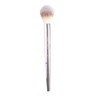 Beauty Secrets Tapered Highlight Brush