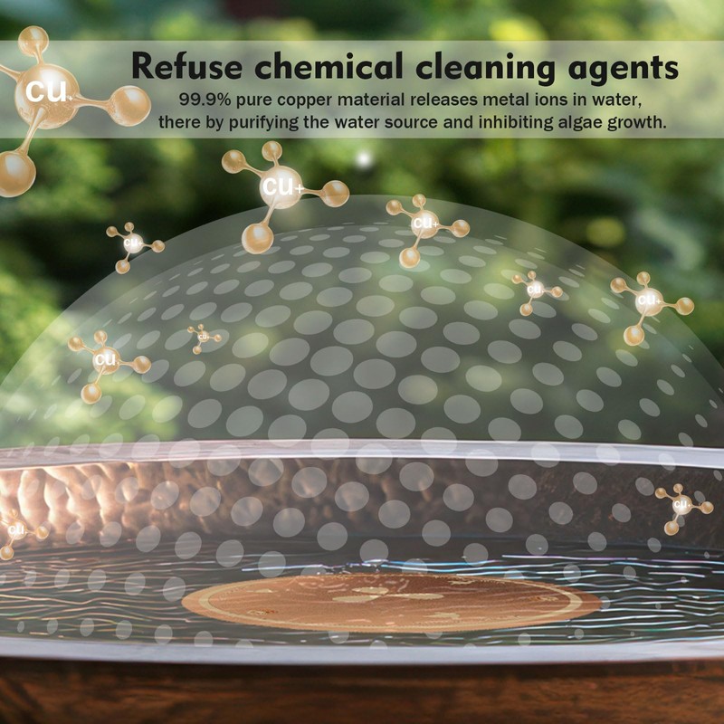 Joyfulmap Copper Bird Bath Purification Disk, 99.99% Pure Copper Cleaning
