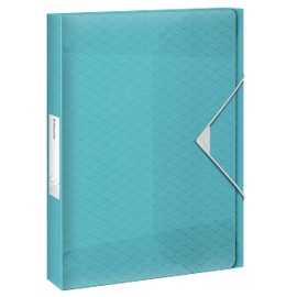 Esselte 626264 Box File 40 mm Blue