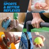 roygra Grip Strength Trainer (5 Pack), Forearm Strengthener, Hand Strengthening
