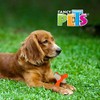 Fancy Pets Juguete Dental Matatena con Sonido para Perro