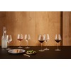 EVA-TRIO | Set of 6 Beautiful Legio Nova Red Wine