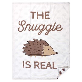 Hudson Baby Unisex Baby Plush Mink Blanket, Hedgehog, One Size