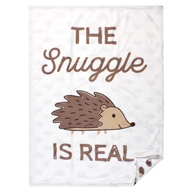 Hudson Baby Unisex Baby Plush Mink Blanket, Hedgehog, One Size