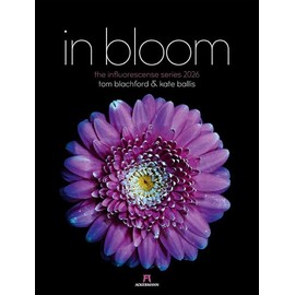 in bloom Kalender 2026 | Floraler Design-Kalender im großen Hochformat (50x66 cm) | Blüten-Portraits | im Nanographic-Printing-Verfahren gedruckt