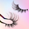 Wispy Cat Eye Look False Eyelashes for Lash Extensions, 5