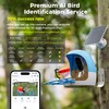 Aomeisi A6 AI Bird Feeder with 2K Solar Camera Squirrel