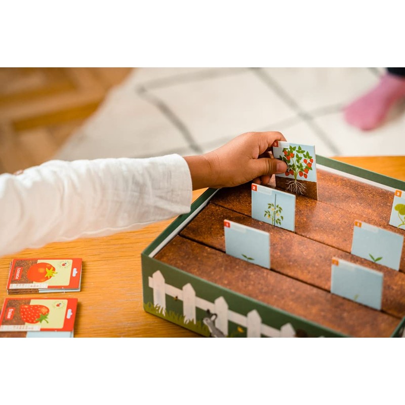 Game of the Little Garden