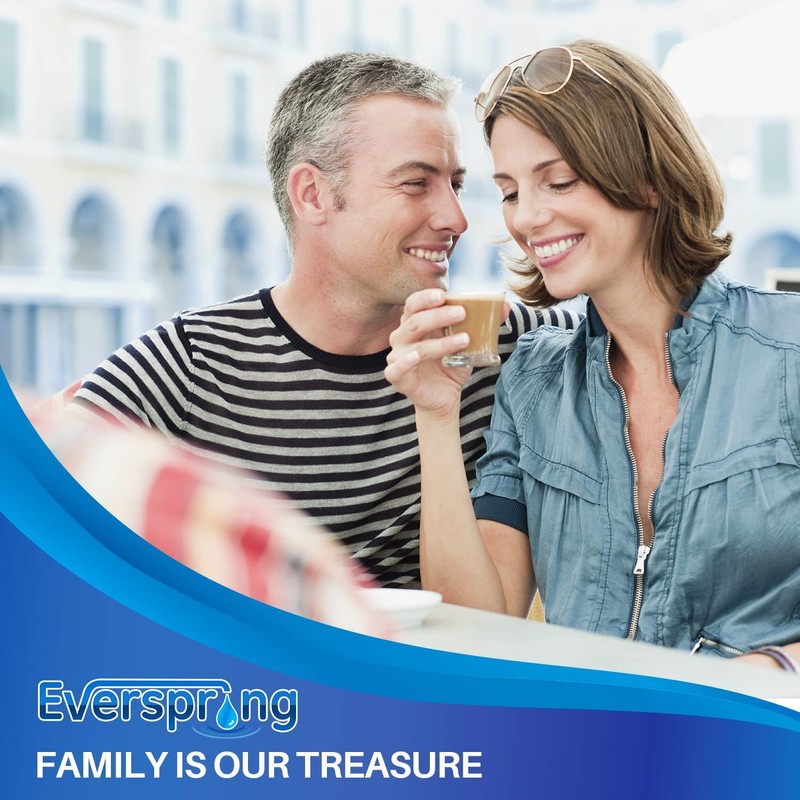 EVERSPRING 4 x TÜV SÜD certified water filter replacement for