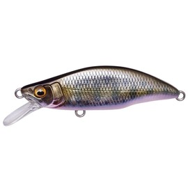Megabus GH64 Humpback (FS) Takumisake Fry