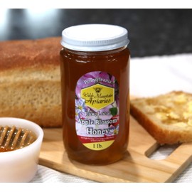 Pennsylvania Apple Blossom Honey by Welsh Mountain Apiaries, Raw and Unfiltered, 16 Ounce Jar (Pack of 3)