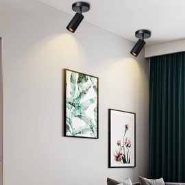 Black Ceiling Light, Zicbol Gu10 Modern Ceiling Spotlight Angle Adjustment Downlight 2 Lights Wall Mount Lights for Living Room, Gallery, Cabinet, Hallway, Bedroom, Showrooms, Kitchen