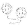 YARDWE 2Pcs Chicken Ball Feeder Birds Suet Cage Stainless Steel