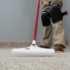 IUY Ventures's Carpet Rake and Groomer with 51" Handle Cleaning