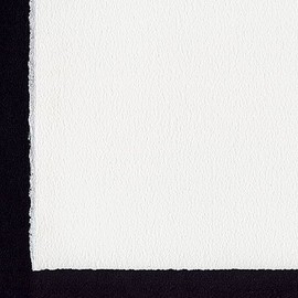 Somerset Velvet White- Pack of Ten 22x30 Inch Sheets