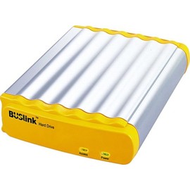 BUSlink 20 GB External USB Hard Drive for PC