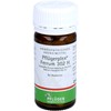 Pflügerplex Ferrum 302 H Tablets