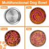 2-in-1 Metal Dog Bowl with Slow Feeder Insert, Stainless Steel
