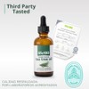 Life180 Serum de Tea Tree , 52 ml (100 Porciones)