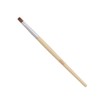 Chasty NF Chasty Nature Friendly Lip Brush N