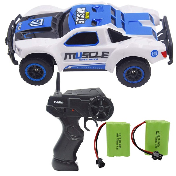 Blomiky 9 MPH High Speed Race RC Car 4WD 1:43 Scale 2.4G 4WD Electric Remote Control Car Vehicle D143 Blue White